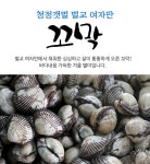 보성 벌교여자만 피꼬막/새꼬막 - 사는 게 즐겁다! 롯데닷컴