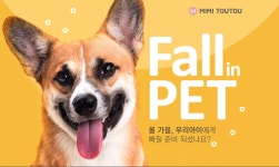 [미미뚜뚜] Fall in PET : 반려동물 올 가을 아이템! - 사는 게 즐겁다! 롯데닷컴