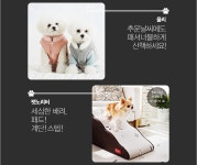 PET 프리미엄 아이템전 - 사는 게 즐겁다! 롯데닷컴