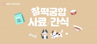 사료/간식 찰떡궁합 - 사는 게 즐겁다! 롯데닷컴