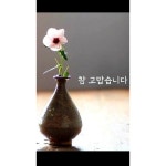 넛츠팜 하루하루 건강더함 라이트 20g[7개] - 에누리 가격비교