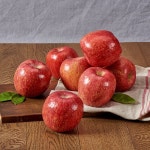 롯데마트몰 - 햇살에 물든 사과 연(然)(SET) 상세정보 햇살에 물든 사과 연(然)(SET)