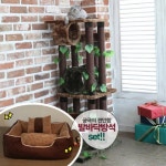 롯데마트몰 - [아로캣] 정글시리즈 캣타워 J5711 + 발바닥방석 SBE-D010 set 상세정보 [아로캣] 정글시리즈 캣타워 J5711 + 발바닥방석... 