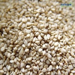 롯데마트몰 - (인빌푸드)김천 햇 참깨 1.2kg/2017년산 상세정보 (인빌푸드)김천 햇 참깨 1.2kg/2017년산