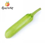 롯데마트몰 - [우리가락]인큐애호박 20개 한박스 상세정보 [우리가락]인큐애호박 20개 한박스