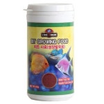 롯데마트몰 - [바보사랑]YB 라이브오리진 후레이크 15g - 구피밥 플레이크사료 상세정보 [바보사랑]YB 라이브오리진 후레이크 15g - 구피밥... 