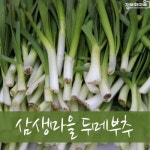 롯데마트몰 - (인빌푸드)강원도 삼생마을 두메부추 2kg/산지직송 상세정보 (인빌푸드)강원도 삼생마을 두메부추 2kg/산지직송