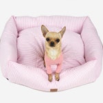 롯데마트몰 - [바보사랑]패리스독 행복하세요 방석 L 상세정보 [바보사랑]패리스독 행복하세요 방석 L