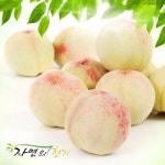 롯데마트몰 - 자연의향기 하우스 복숭아 2.5kg(12~14과) 상세정보 자연의향기 하우스 복숭아 2.5kg(12~14과)