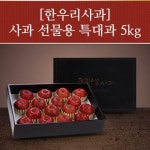 롯데마트몰 - 한우리 선물용 사과세트 5kg(14~16과) 상세정보 한우리 선물용 사과세트 5kg(14~16과)