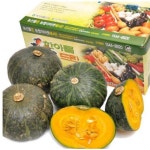 롯데마트몰 - [익산원예농협/산지직송] 단호박 10kg(8-14개) 상세정보 [익산원예농협/산지직송] 단호박 10kg(8-14개)