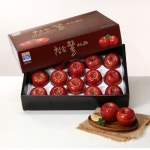 롯데마트몰 - [대구경북능금농협/산지직송] 청송사과 선물세트 5kg(14-16과) 상세정보 [대구경북능금농협/산지직송] 청송사과 선물세트 5kg... 
