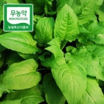 롯데마트몰 - (인빌푸드)(예약상품)황둔마을 곤드레 2kg 상세정보 (인빌푸드)(예약상품)황둔마을 곤드레 2kg