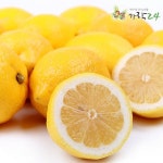 롯데마트몰 - [가락24]레몬 4.8kg 40과 내외/센터직송 상세정보 [가락24]레몬 4.8kg 40과 내외/센터직송