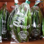 롯데마트몰 - (인빌푸드)강원 삼생마을 오이맛 고추 1kg 상세정보 (인빌푸드)강원 삼생마을 오이맛 고추 1kg