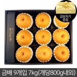 롯데마트몰 - 고급과일선물세트 금배세트선 9개입 총7kg내외 상세정보 고급과일선물세트 금배세트선 9개입 총7kg내외