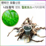 롯데마트몰 - 수)F-나도한다 유목활착 수족관용품 상세정보 수)F-나도한다 유목활착 수족관용품