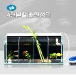 롯데마트몰 - YB 4면분할수조 배변섬프 수족관용품 상세정보 YB 4면분할수조 배변섬프 수족관용품