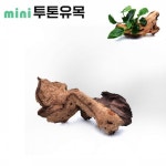 롯데마트몰 - 미니 투톤유목 10CM내외 수족관용품 상세정보 미니 투톤유목 10CM내외 수족관용품