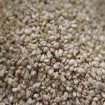 롯데마트몰 - (인빌푸드)정성담은 햇 참깨(2018년산) 3kg 상세정보 (인빌푸드)정성담은 햇 참깨(2018년산) 3kg