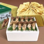 롯데마트몰 - 국내산 자연송이 자연산 송이버섯 (특품B) 1kg 상세정보 국내산 자연송이 자연산 송이버섯 (특품B) 1kg