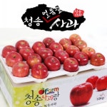 롯데마트몰 - 아침햇살농장 청송 얼음골 사과 10kg(38~42入) 상세정보 아침햇살농장 청송 얼음골 사과 10kg(38~42入)