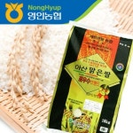롯데마트몰 - [아산장터] 2018년 햅쌀 아산맑은쌀 10kg/영인농협 상세정보 [아산장터] 2018년 햅쌀 아산맑은쌀 10kg/영인농협
