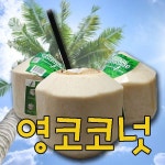 롯데마트몰 - [가락24]영코코넛 4입/개당870g내외/행복 상세정보 [가락24]영코코넛 4입/개당870g내외/행복