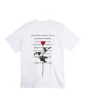 하이노크(HIGHKNOCK) aleks rose - white - 27,300원 | 무신사 스토어 - 셀렉트숍