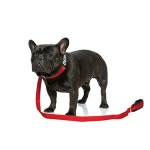 데니필드(DENNYFIELD) COMFY CUSTOM COLLAR red - 36,000원 | 우신사 스토어