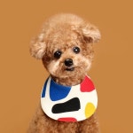 허츠앤베이(HUTS&BAY) CO 아이보리 도그빕 - 12,000원 | 무신사 스토어