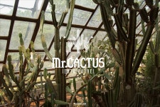 4983PROJCET 두번째 프로젝트 ″MR.CACTUS″ | 무신사