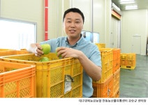농협몰(NH싱씽몰) 경북능금농협 햇 아오리사과 3kg(14-16과)*2박스