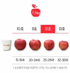 농협몰 남상주농협 데일리 세척사과 7.5kg(중대과/25-29과)