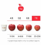 농협몰 남상주농협 데일리 세척사과 5kg(중과/20-25과)
