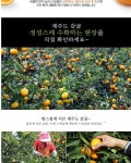 농협몰 하귀농협 제주 하우스감귤5kg(47~94과)