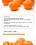 농협몰 하귀농협 천혜향 3kg(8-15과)
