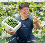 농협몰(NH싱씽몰) 농부의 꿈 양주 클로렐라 못난이 미니오이 1.5kg (20개-25개)