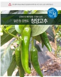 농협몰 농협 맑은청 강원도 청양고추(특),2kg+2kg