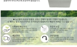 농협몰 횡성 깐더덕(상) 1kg