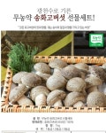 농협몰 초정 무농약 송화고버섯 선물세트 1호