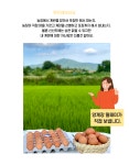 농협몰(NH싱씽몰) 정훈농장 무항생제 HACCP 인증 쫀득한 구운란 30구