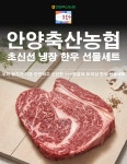농협몰(NH싱씽몰) [안양축협] 참들향한우한돈 선물세트 (1++ 8,9등급 등심0.3kg 2팩, 삼겹살 0.3kg 2팩)