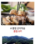 농협몰 덕이네 남해안 싱싱 장어(중) 700g(3개 구매시 사은품 증정)