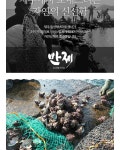 농협몰 제주 김녕 만제 뿔소라