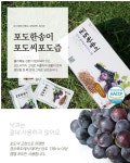 농협몰 포도마을 포도한송이 포도씨포도즙 60팩(30팩2박스)