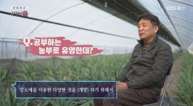 농협몰(NH싱씽몰) [권도영알로에] 유기농 알로에 사포나리아 석류겔 500ml
