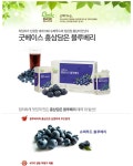 농협몰 정관장 굿베이스 홍삼담은블루베리(50ml*30포)