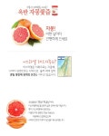 농협몰 옥반식품 자몽愛즙 30팩 