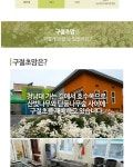 농협몰 착한자연 백민구절초연구소 구절초농축액 375ml